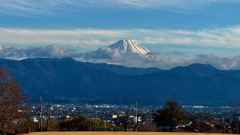 Thinking about terminals probably, Leica M11, 12/2025