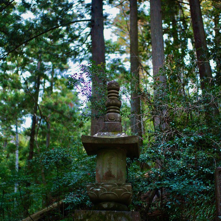 この直後にビルド状況をチェックした ― Leica M11, 01/2026