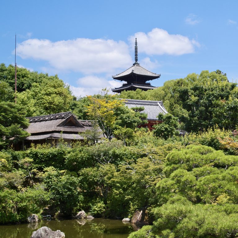 死ぬほど暑いけど綺麗, Leica M11, 7/25