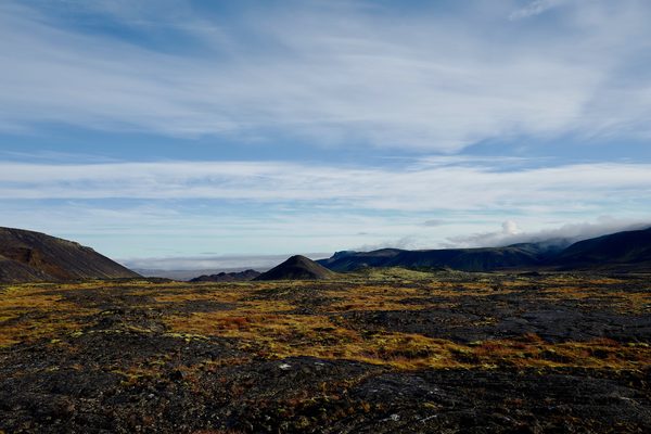 image_1.jpg