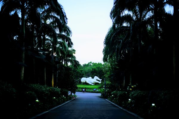 image_1.jpg