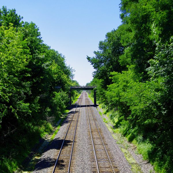 image_1.jpg