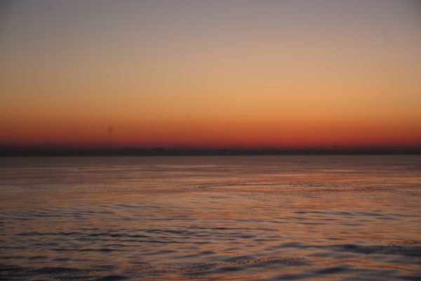 image_1.jpg
