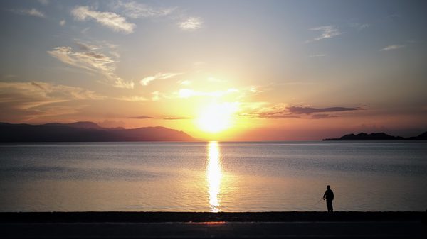 image_1.jpg