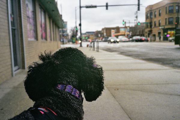 image_1.jpg