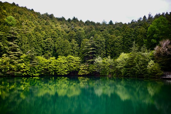 image_1.jpg