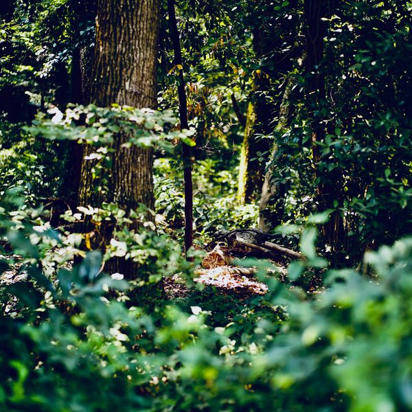 image_1.jpg
