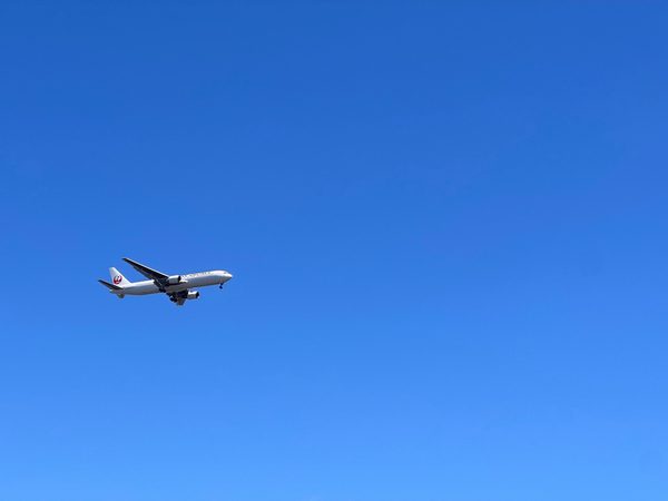 image_1.jpg