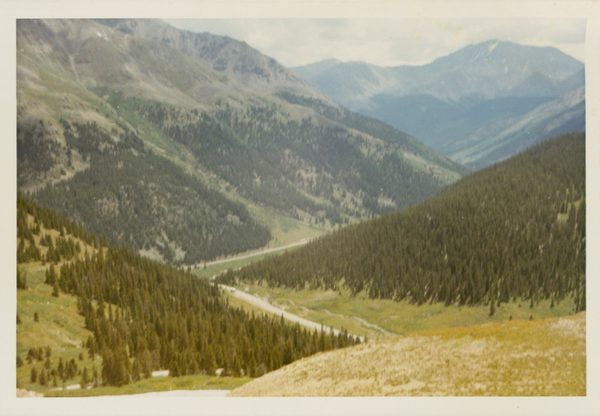 image_5.jpg