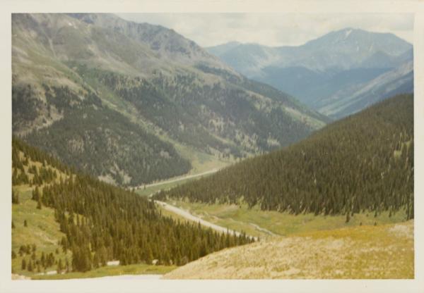 image_5.jpg