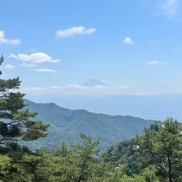 image_1.jpg