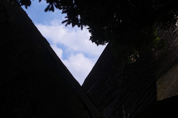 image_1.jpg