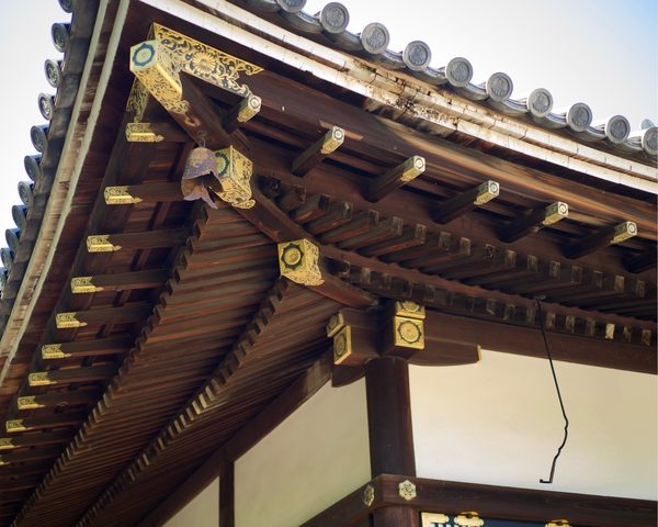 image_2.jpg