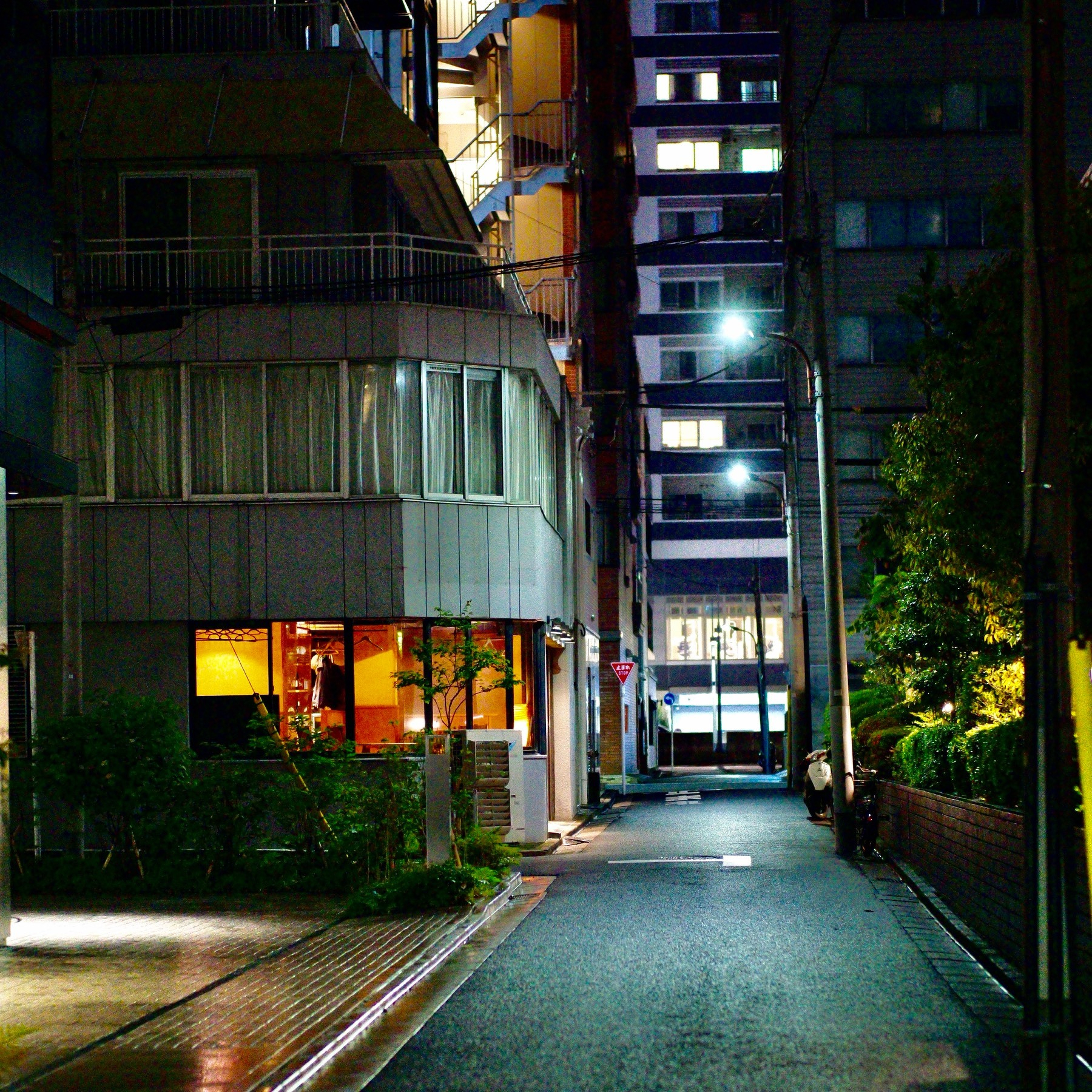 image_2.jpg